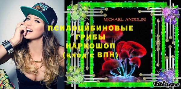 мдпв Мегион