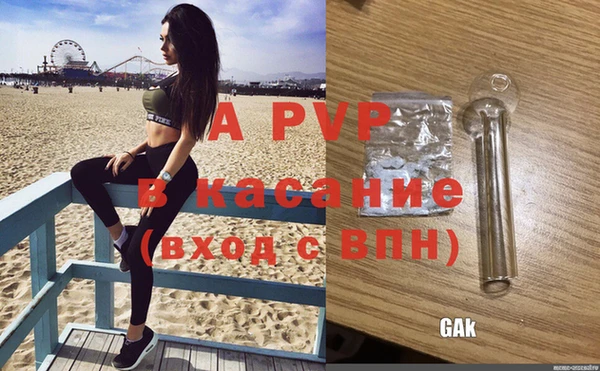 бошки Магас