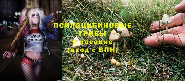 ешки Майский